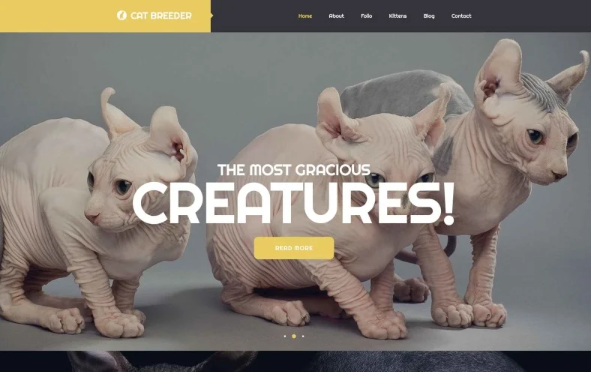 cat Breeders Website Template — Template by Templatemonster