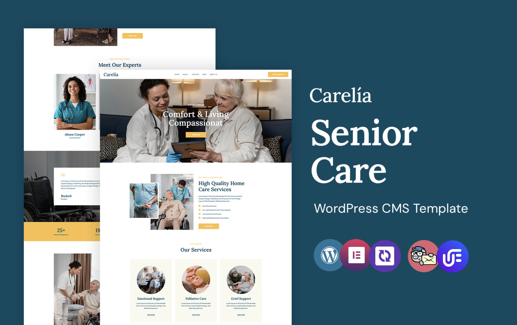 CarelÍa - Senior Care And Elderly Nursing WordPress Elementor Theme