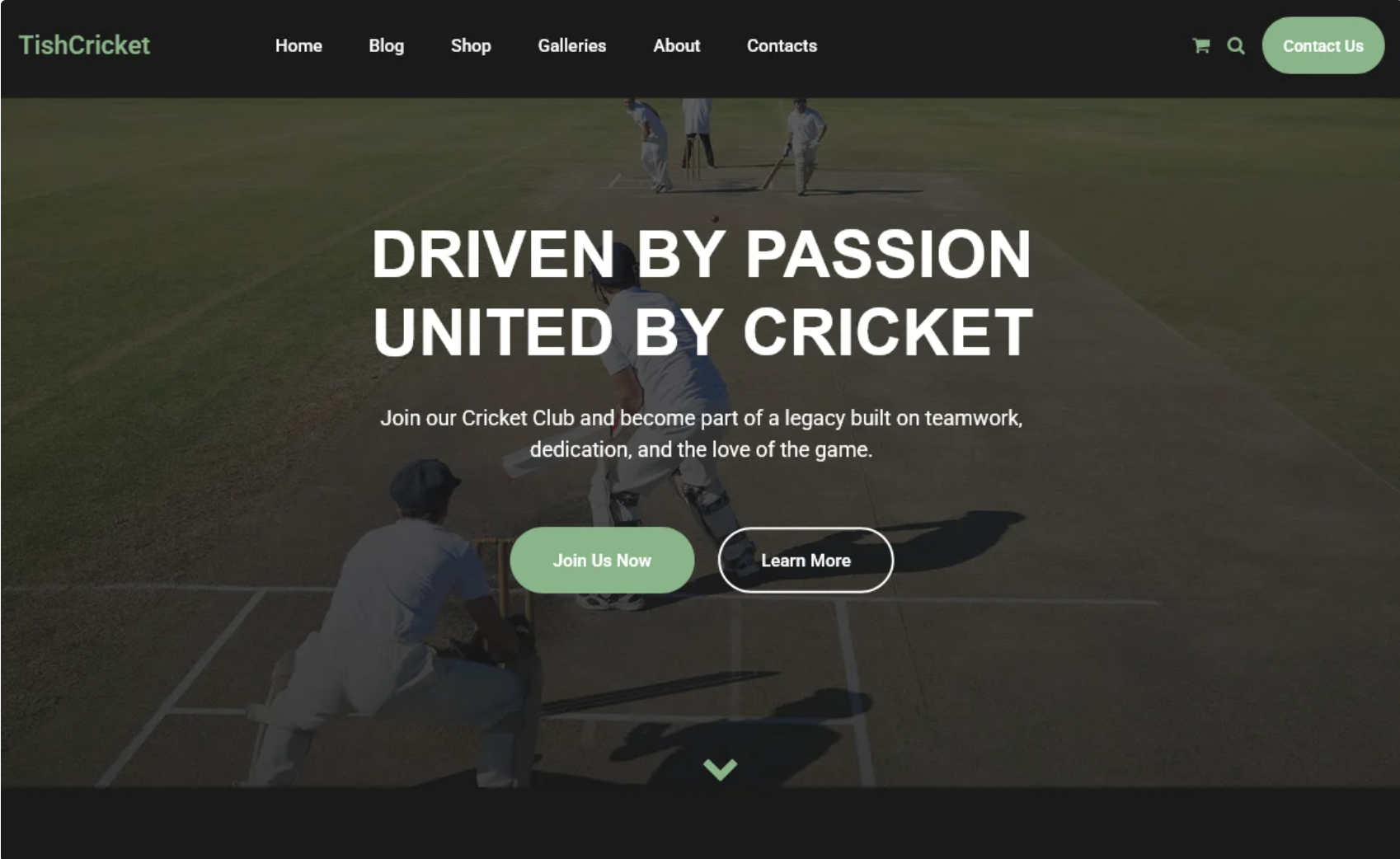 TishCricket - Cricket Club WordPress Theme