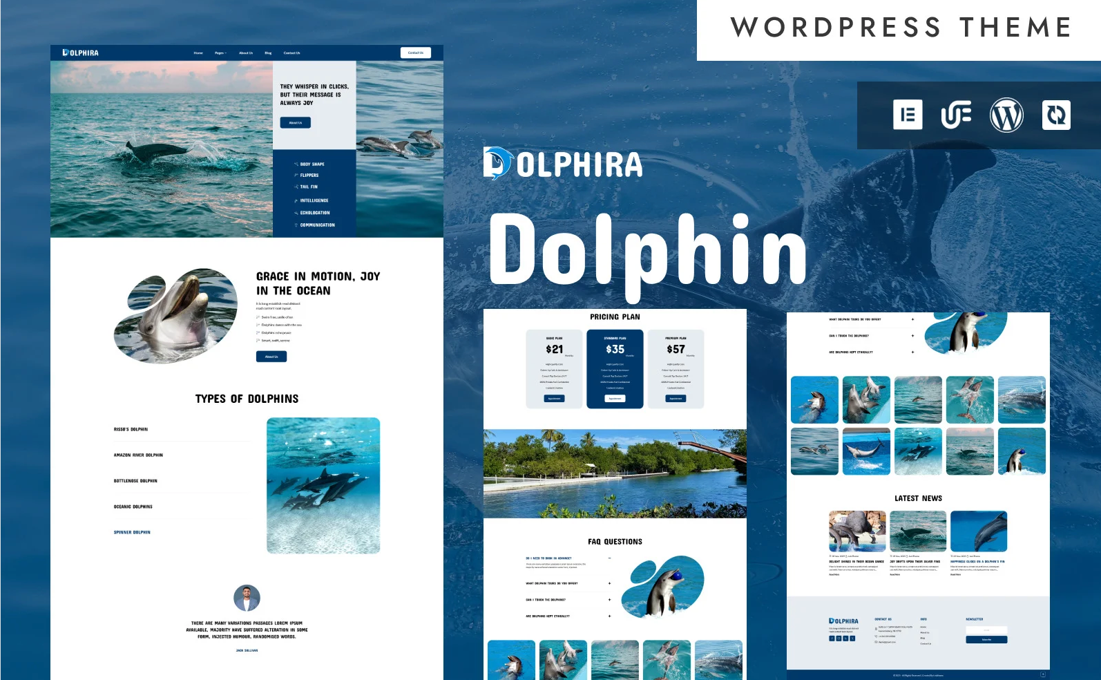 Dolphira - Dolphin Show, Amusement Parks And Fun Aquatic WordPress Elementor Theme