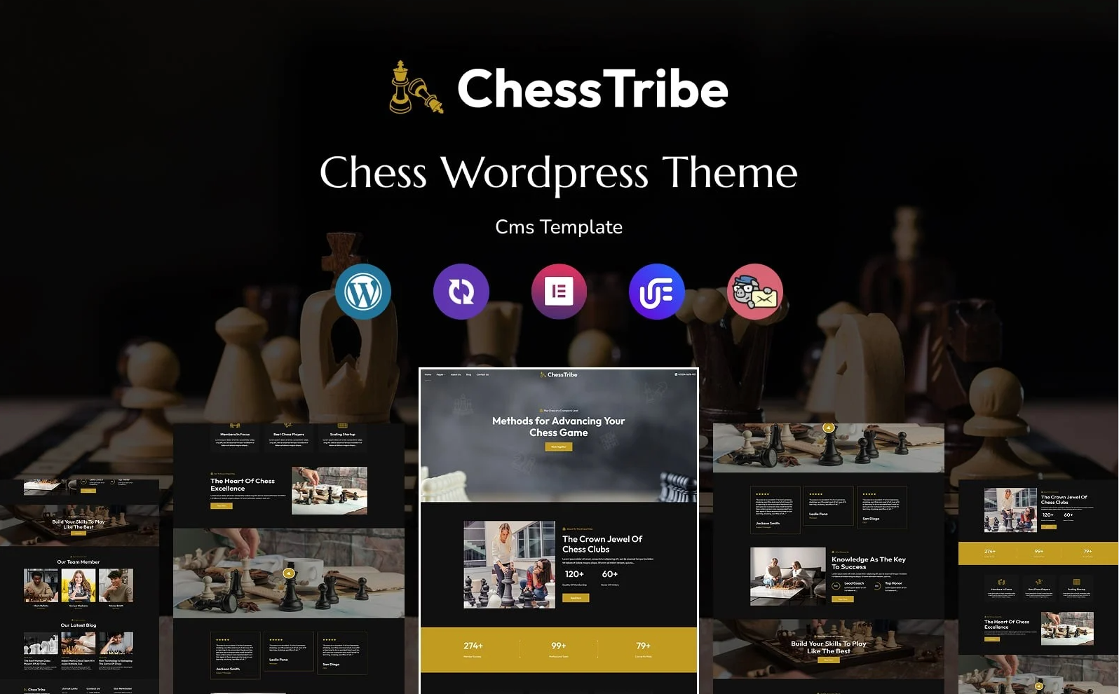 ChessTribe - Chess Club Multipurpose Responsive WordPress Theme