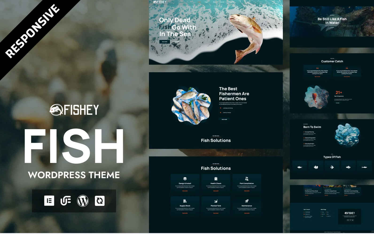 Fishey - ReefWorld Saltwater Fish & AquaBloom Freshwater Fish Farm WordPress Elementor Theme