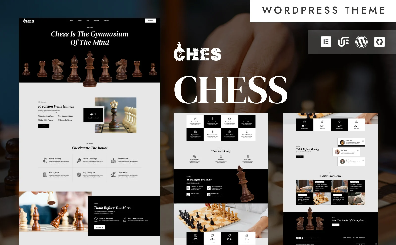 Ches - Chess Academy & Coaching WordPress Elementor Theme