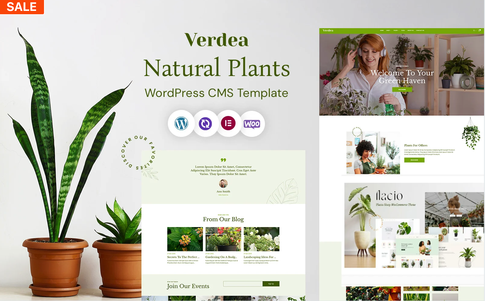 Verdea - Gardening and Houseplants WordPress CMS Elementor Template