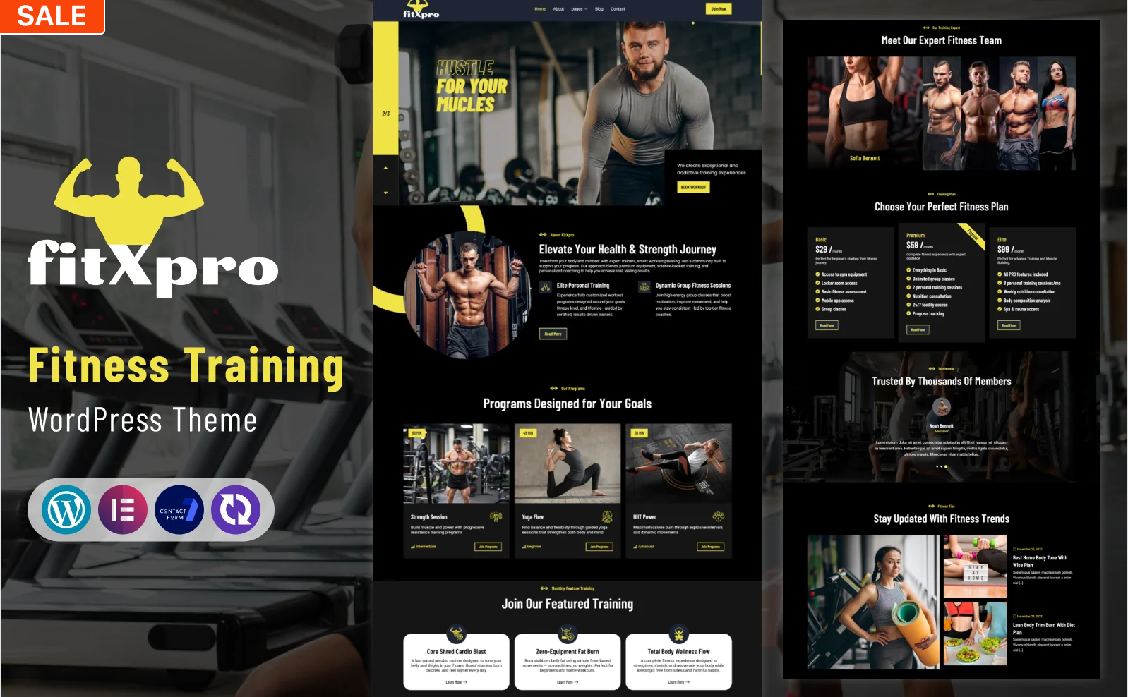 FitXPro – Gym, Fitness & Personal Training WordPress Theme