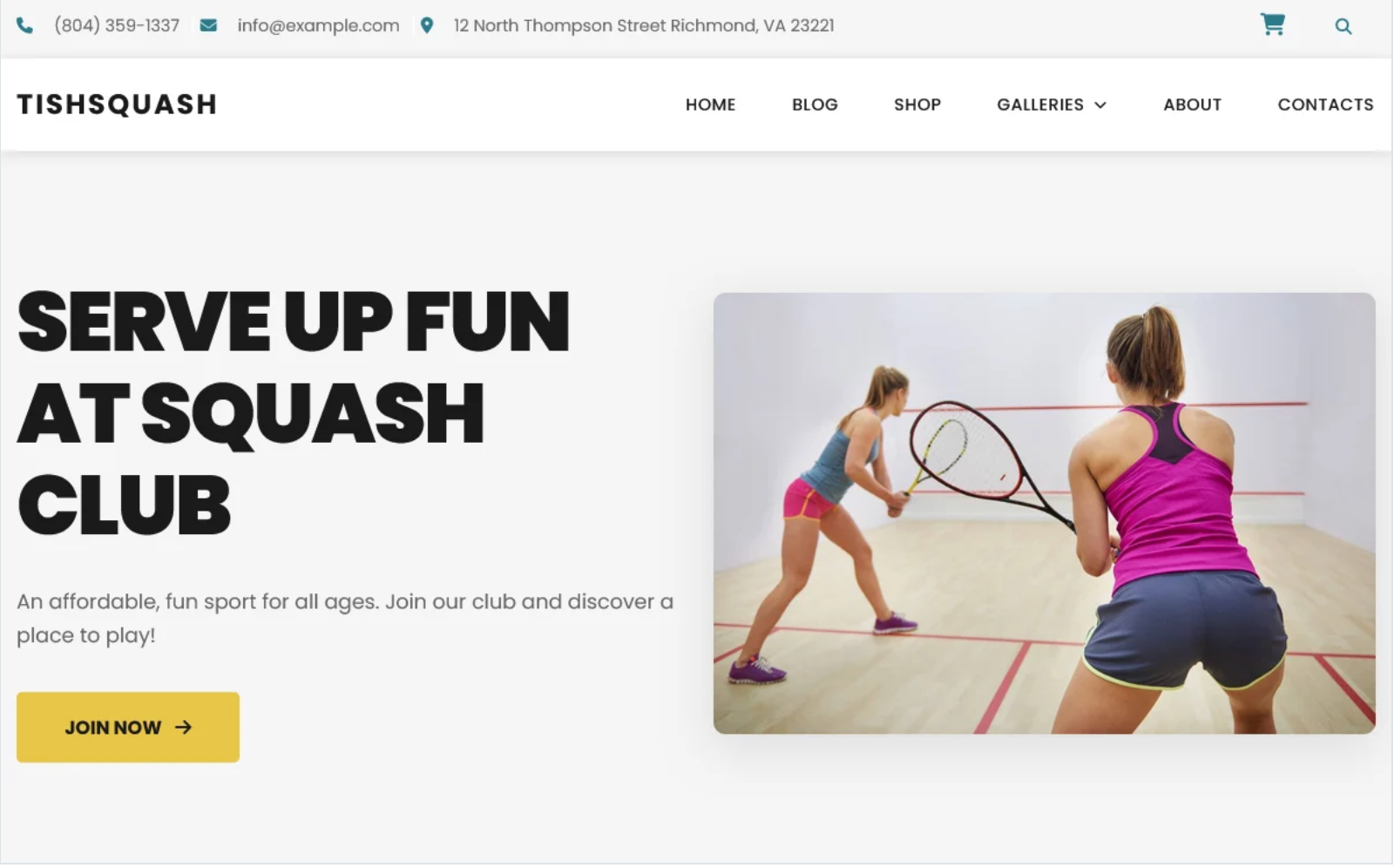TishSquash - Squash WordPress Theme