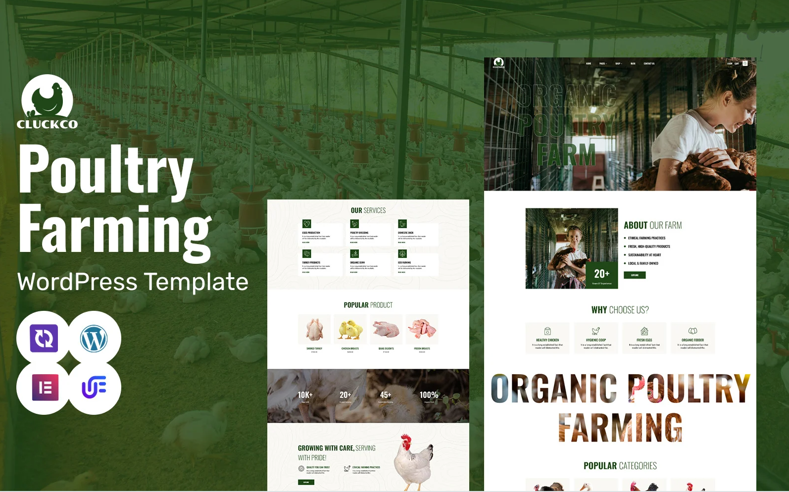 CluckCo - Organic Poultry, Egg Production & Agriculture Business WooCommerce Elementor Theme