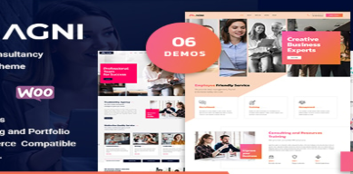 Agni - Consulting WordPress Theme