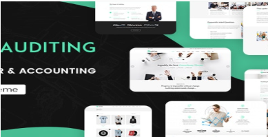 Auditing | Accounting Consultant, Finance WordPres