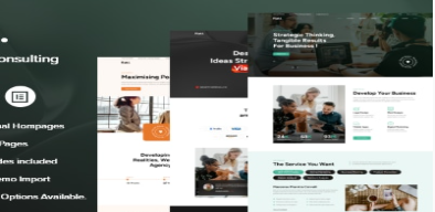 Raki - Business Consulting WordPress Theme 1.0.8.