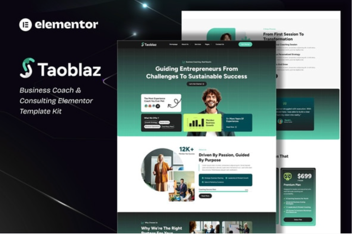 Taoblaz - Business Coach & Consulting Elementor Template Kit