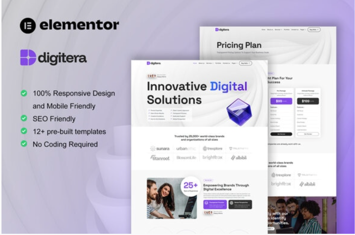 Digitera - Digital Agency Elementor Pro Template Kit